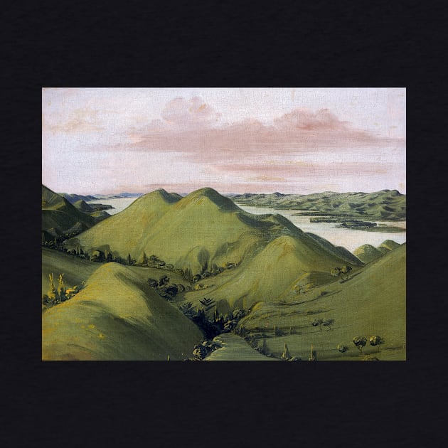 George Catlin Beautiful Grassy Bluffs, 110 Miles above St. Louis by pdpress